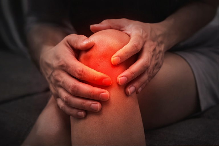 FLEXORA Knee Companion 2.0