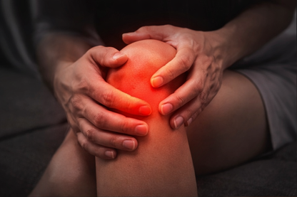 FLEXORA Knee Companion 2.0